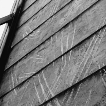 ▬▬▬▬▬▬▬▬▬
    ;  Tᴡɪʟɪɢʜᴛ ; Qᴜɪʟᴇᴜᴛᴇ.
  
┗━━┈ ˚ ༘ ⿻ Trιbᥙ Qᥙιᥣᥱᥙtᥱ.
                                 
      • rol ; medio - extenso. 
      • fc ; todos son bienvenidos
               también oc's.

                         ┗━ ↻？◟