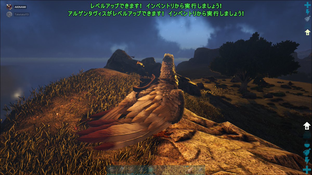 秋浪 Ark Arkも景色がキレイです 武尚さんがくれた鳥に乗って 少しづつ行動範囲を広げています トリケラトプスのテイムに成功しました これから育てたいと思います ドリさんがついにカワウソを見つけ 番でテイムしました 今後カワウソ牧場を計画している