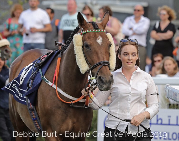 Arabian Racing Organisation tweet media