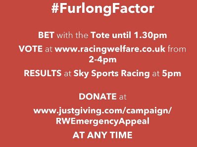 Arabian Racing Organisation tweet media