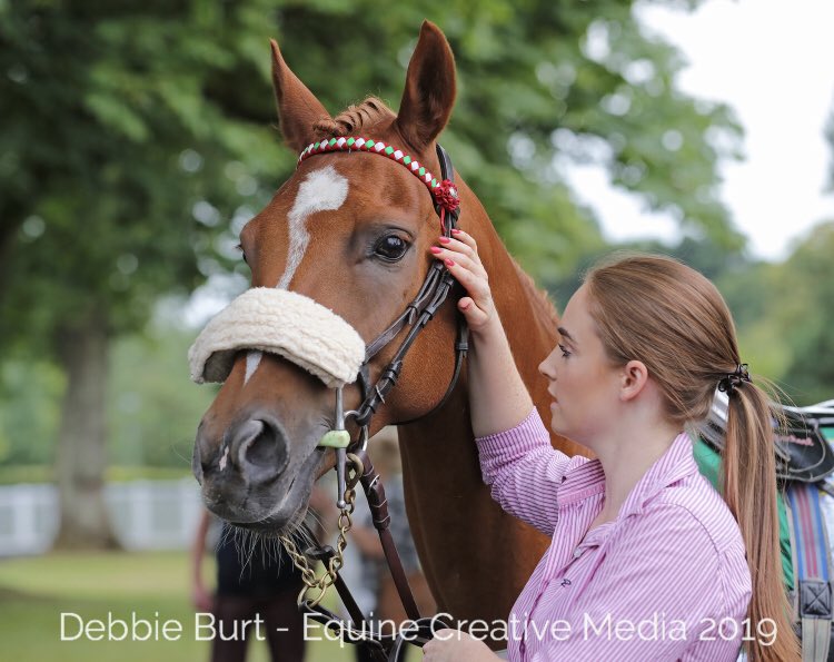 Arabian Racing Organisation tweet media