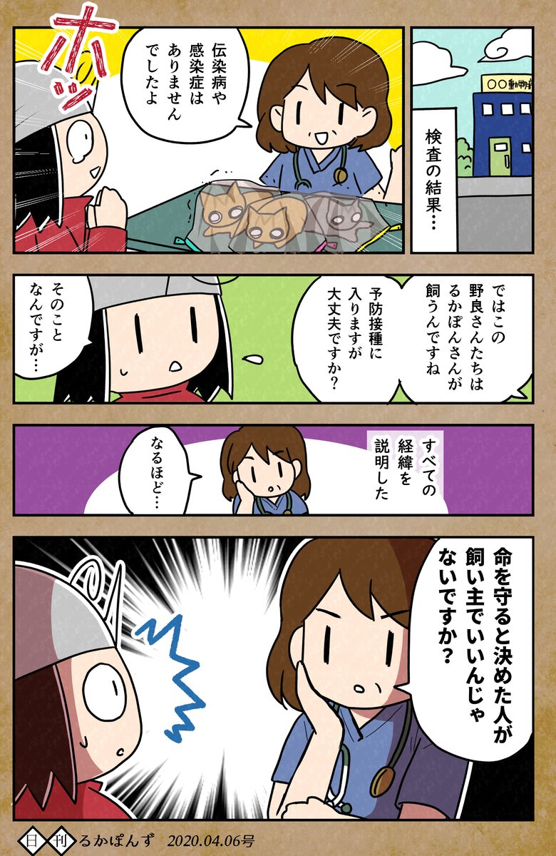 【毎日更新中】
保護猫3兄妹の猫マンガまとめ⑤。

保護したけど、すんなり飼えなかった話(2/2)

#保護猫3兄妹 #猫 #ねこ漫画 #コミックエッセイ #猫まんが 