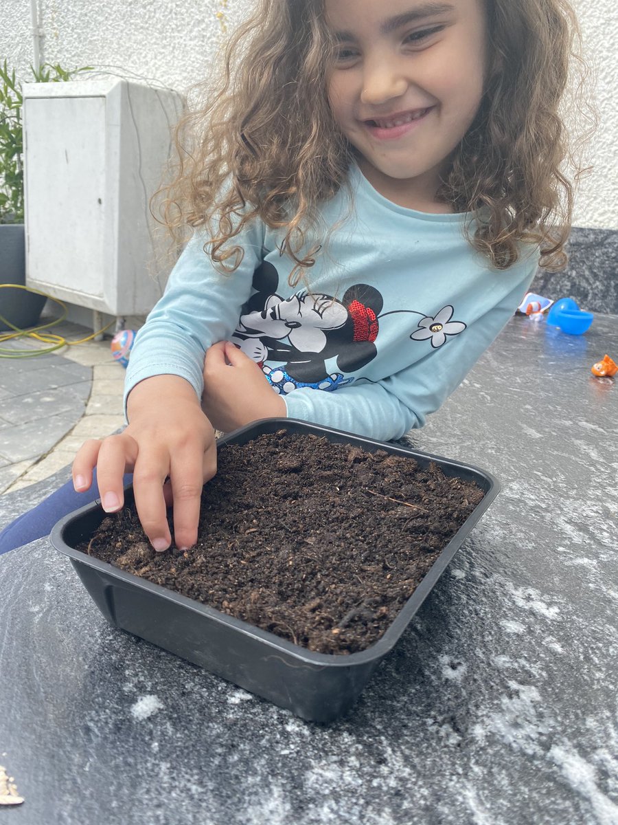 BeautyofMarble's tweet photo. Arwaa is missing all her friends and teachers at @DalryEYC. She is very excited to have her sunflower seeds from Barbara, and had great fun planting them. Now to watch them grow! #LockdownLife #nursery #sunflowers #friends https://t.co/DXhvzgMslj