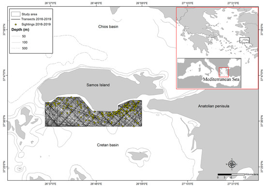 JMSE_MDPI's tweet photo. 📣An interesting article "Density and #Abundance of Delphinus delphis in #Waters South of Samos Island, Greece (Eastern #Mediterranean #Sea)" online in #JMSE. 

👉Free to read at: https://t.co/kN6mZgCNtl https://t.co/wIIMyXIRcB