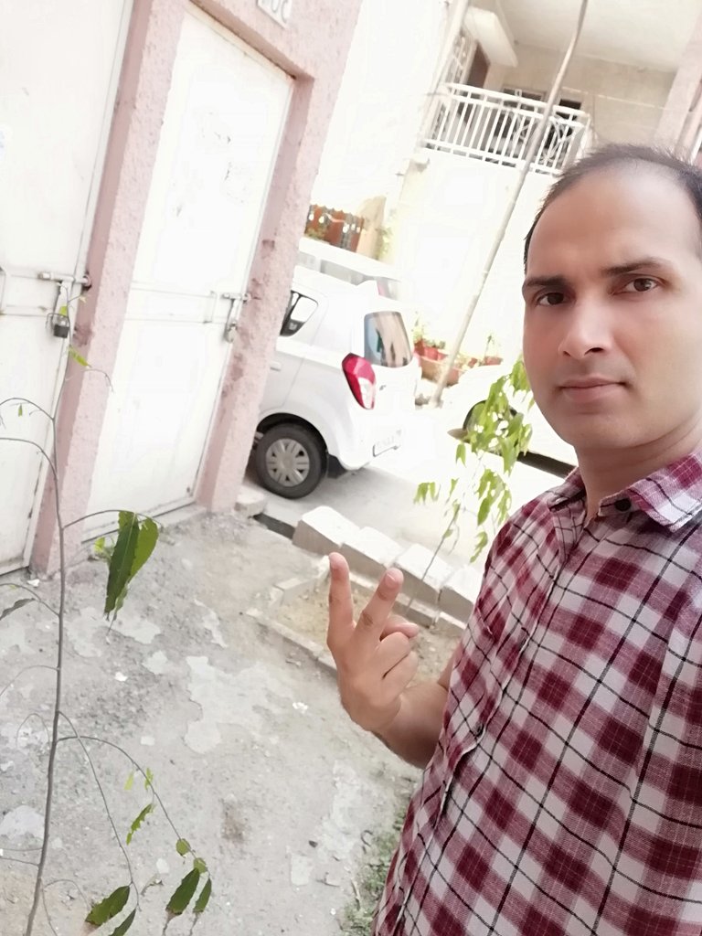 AmitKellan's tweet photo. Two plants done in neighbourhood under 02P2 idea. @O2p2IN2020 https://t.co/lEXDYn4JHS