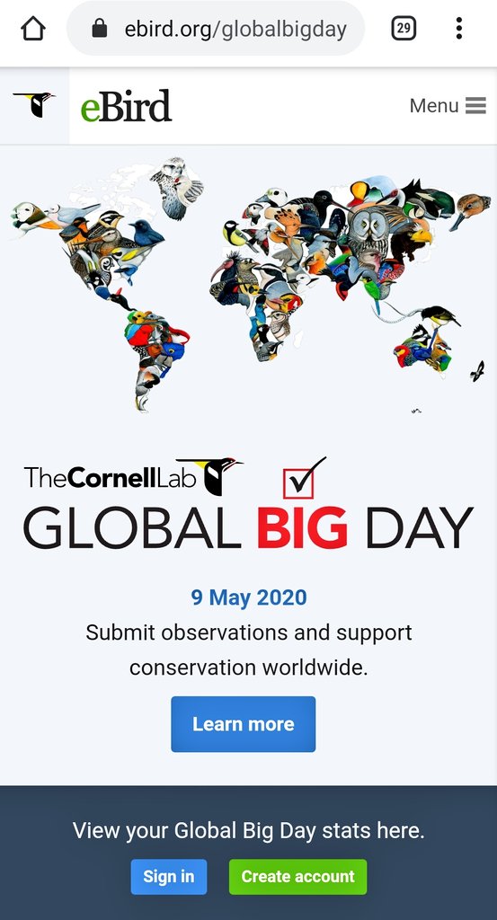 LatAmTravelist's tweet photo. On #GlobalBigDay I'm following the #CentralAmerica #birding action on @Team_eBird & taking a virtual trip to #Nicaragua with #BirdsofNicaragua from lockdown!
Love a #MotMot!
https://t.co/JaDPd0SL2a
#VisitNicaragua #WishIWasThere #BirdWatching #WeWillBeBack #GalloPintoPower https://t.co/eW8XrfPSa8