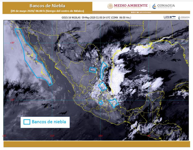 Ver imagen en Twitter
