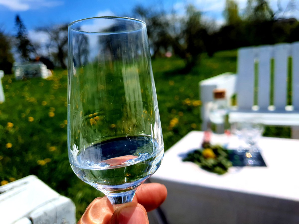 Fantastiska diena piknikam ABAVAS abeļdārzā! Iespēja nobaudīt mūsu jauno Burkānu destilātu un daudz citu foršu dzērienu. 🙏😇