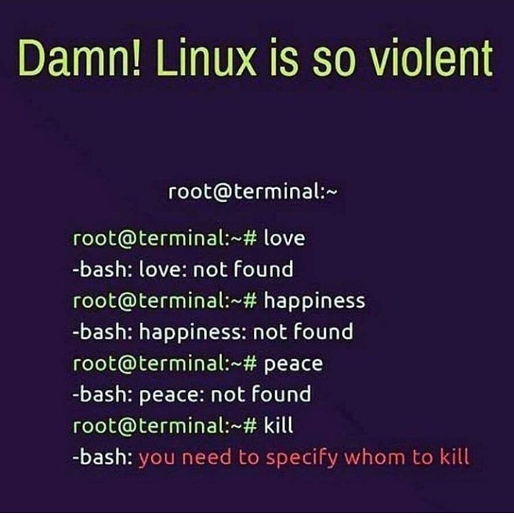 Mirzaee__Ali's tweet image. Damn! Linux is so violent!

#gnulinux 
#linux
#killcommand