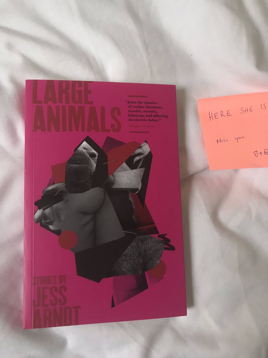 BenjaminBookit's tweet photo. From the vanguard of queer UK publishing @CipherPress my new bedfellow, Large Animals by Jess Arndt. ❤️❤️❤️ https://t.co/ZHHmEFDDHN