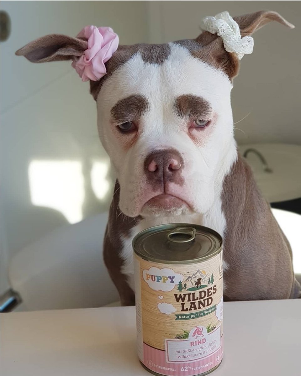 Sensor Health tweet media