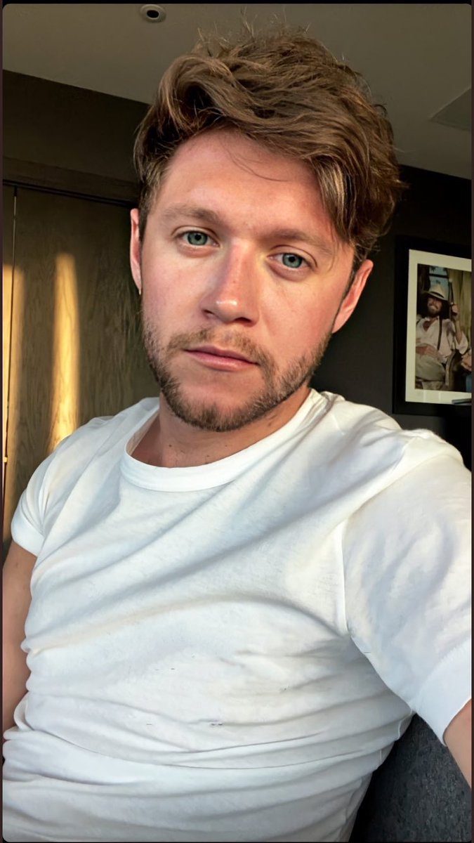 Niall Horan as kittens: a lovely thread