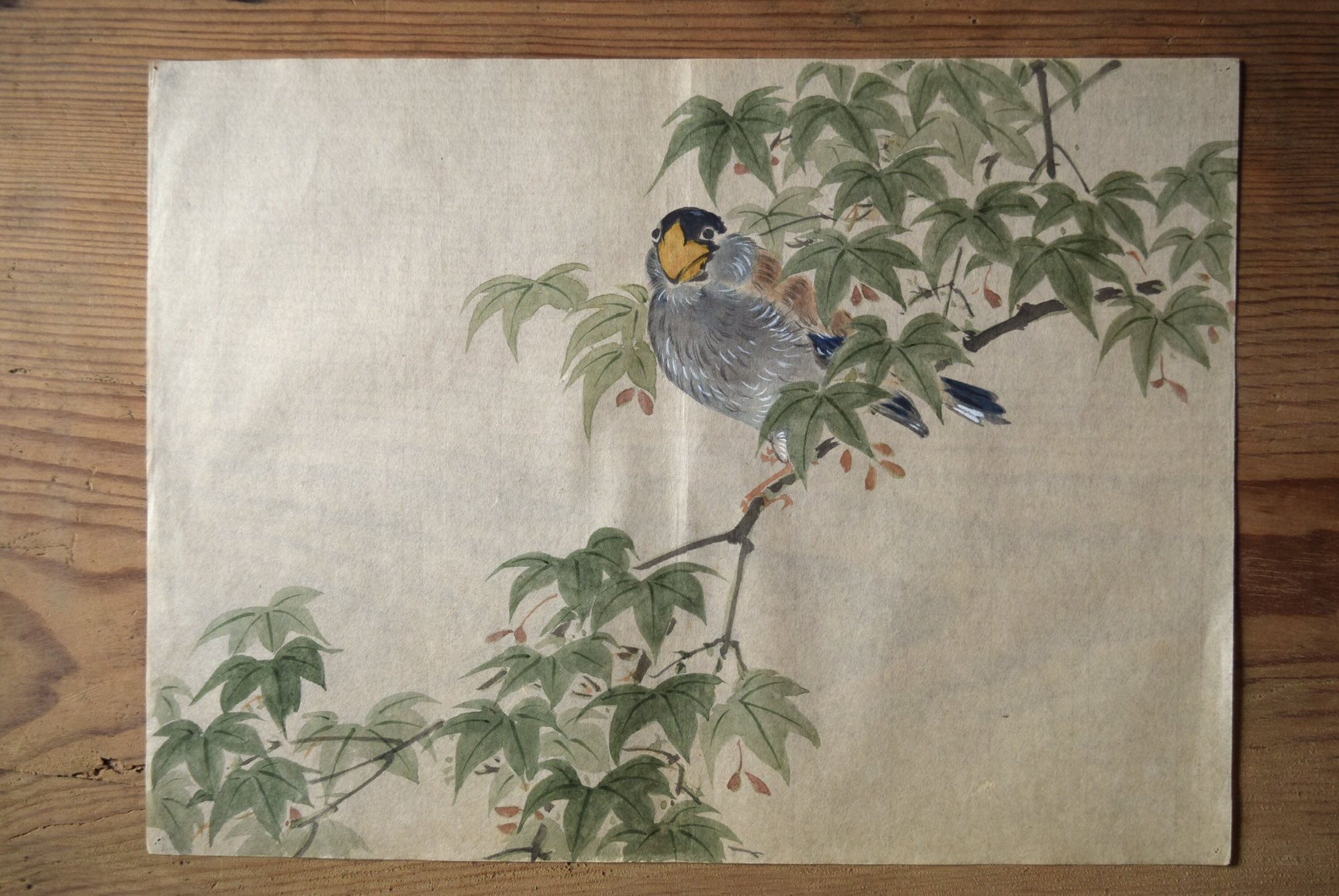 コレノナ 前回ご紹介した大正5年 1916年 の粉本の中から今日は花鳥画を何枚か 練習画ではありますが 日本画特有の余白が 美しいと感じたものを選んでみました 1枚目は前回アップで載せた可愛い顔の鳥 新緑の紅葉の枝に佇んでいます T Co