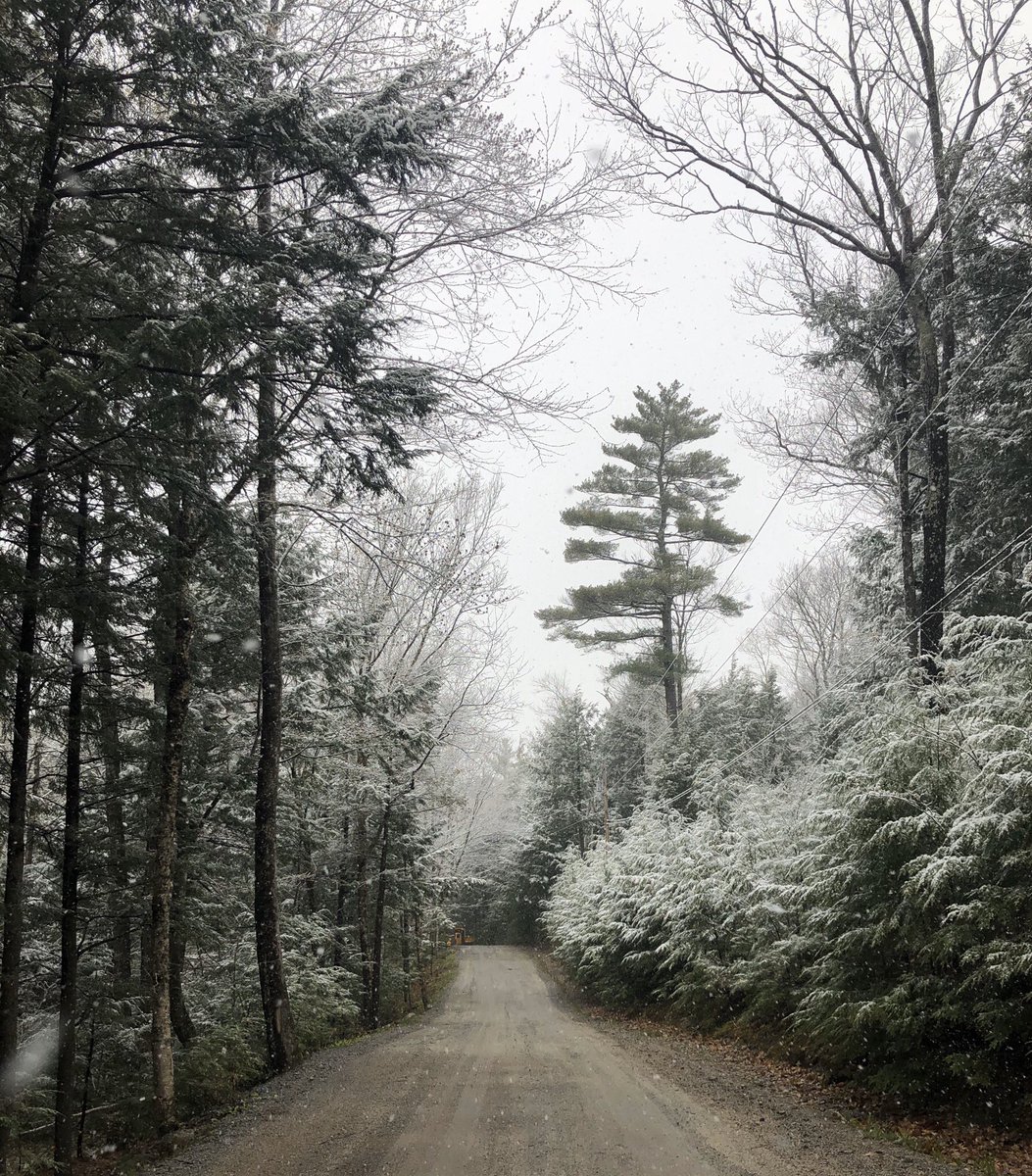 Nicoli_is's tweet photo. Snow! In May! #shakingmybooty #lovesnow #noreallylovesnow https://t.co/Fz1p8LZPG9