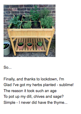 thephilipdodd's tweet photo. Today's #Lockdownlimerick is in the context of me finally putting together the herb garden I asked my daughters to give me at Christmas and which, natch, was sitting in its flatpack box up till the other week... https://t.co/wWrP0FfJET