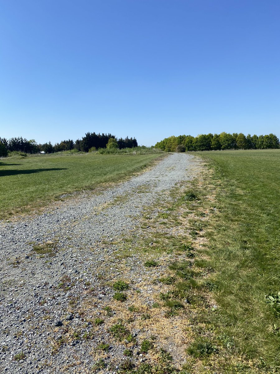 Dr Carly Wood tweet media