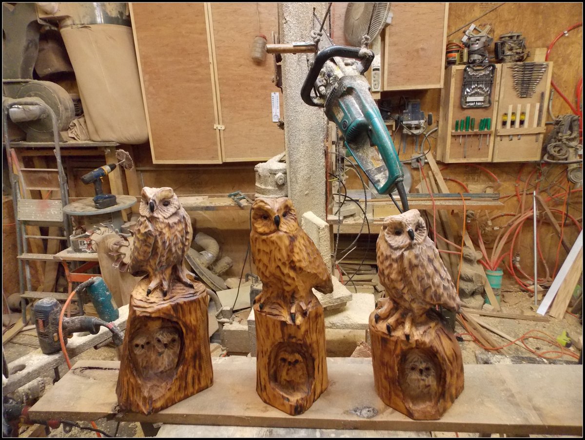 BrianHarnett2's tweet photo. Finished some owls yesterday. https://t.co/n88XNtMUGD