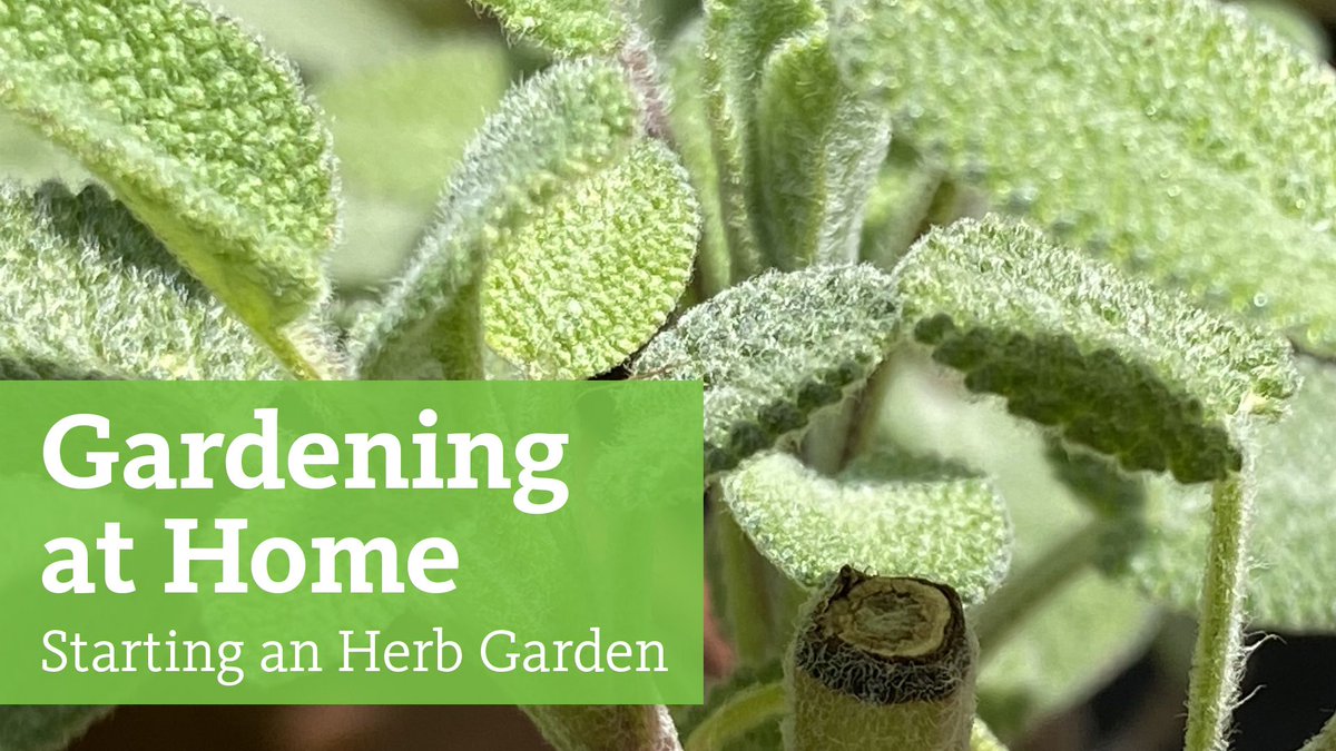 Brooklyn Botanic Garden tweet media
