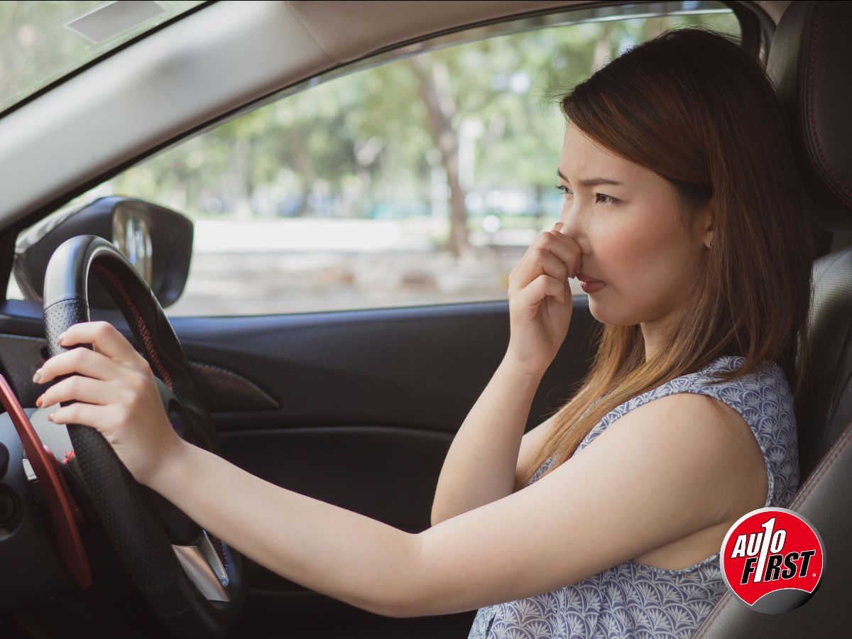 Fris de zomer tegemoet?Plan een aircoservice bij AutoFirst  van den Akker! Wilt u liever de deur niet uit? Geen probleem, maak gebruik van onze haal- en brengservice.

Afspraak maken? Bel naar 0519293158 of plan een afspraak
in onze online planner autofirst-vandenakker.nl
