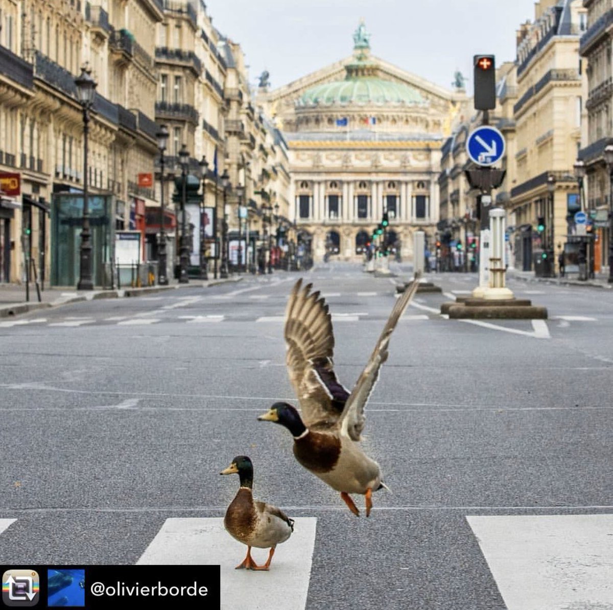 6pm tonight contribute to the #openmap of The #globalpause the #map of the positive impacts on the #environment of the #lockdown Join univ-cotedazur.fr/globalpause <a href="/InventUCA/">Invent@UCA</a> <a href="/Pheecetious/">Sophia Waterfield</a> <a href="/LouisSahagun/">Louis Sahagun</a> <a href="/reporterfield/">Carlie Porterfield</a> <a href="/EnviroNews/">EnviroNews</a> <a href="/UNEP_Francais/">Programme des Nations Unies pour l’environnement</a>