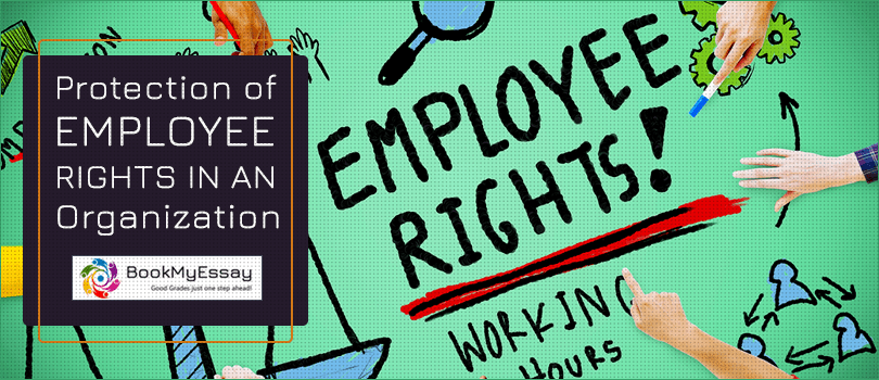 Book_My_Essay's tweet image. Protection of #EmployeeRights is a big concern and part of organizational policies and legal systems. Lets get understand all employee rights for #EmployeeProtection here: bit.ly/2WfB8Zm
#EmploymentLawAssignmentHelp, #WriteMyAssignment, #BookMyEssay
