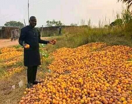 The amount of fruits that gets wasted in our state is alarming.No single industry in the state to help reduce the high rate of wastage.Just look at this amount of mangoes that get wasted #BenueTwitter  #BenueElites