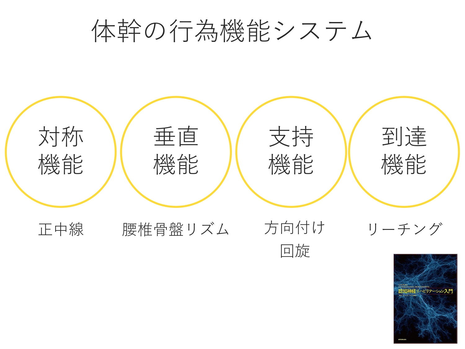 太田 経介 安定性能力の低下のメカニズム 安定性限界の減少 自動性姿勢反応 予測的姿勢制御能力の低下 姿勢安定性に対する認知機能の影響 T Co Sglll0fcz6 Twitter
