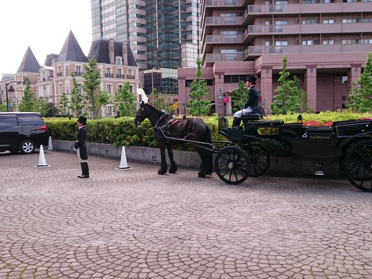 Masa 今晩は 結婚式 披露宴の移動は馬車 新郎は少し恥ずかしいよね 過去の画像 恵比寿ガーデン