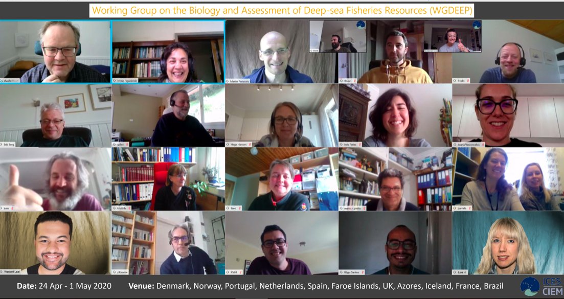 IEO_Cadiz's tweet photo. Termina la reunión, este año virtual debido al #Covid_19, del Grupo de Trabajo de Biología y Evaluación de Pesquerías de Profundidad (@ICES_ASC #WGDEEP). Asistieron nuestro compañero de @IEO_Cadiz #JuanGilHerrera y #BrunoAlmón de @IEOVigo. https://t.co/AysqU6xTvP