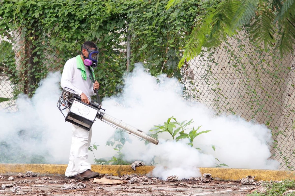 ecotvpanama's tweet photo. #EsNoticia🔵 @MINSAPma continúa los operativos de fumigación en diferentes sectores del país para combatir los criaderos del mosquito Aedes Aegypti, que transmite el dengue. 
Vacía, voltea o tapa los recipientes que acumulen agua para combatirlo. https://t.co/2GwAkTJgYD