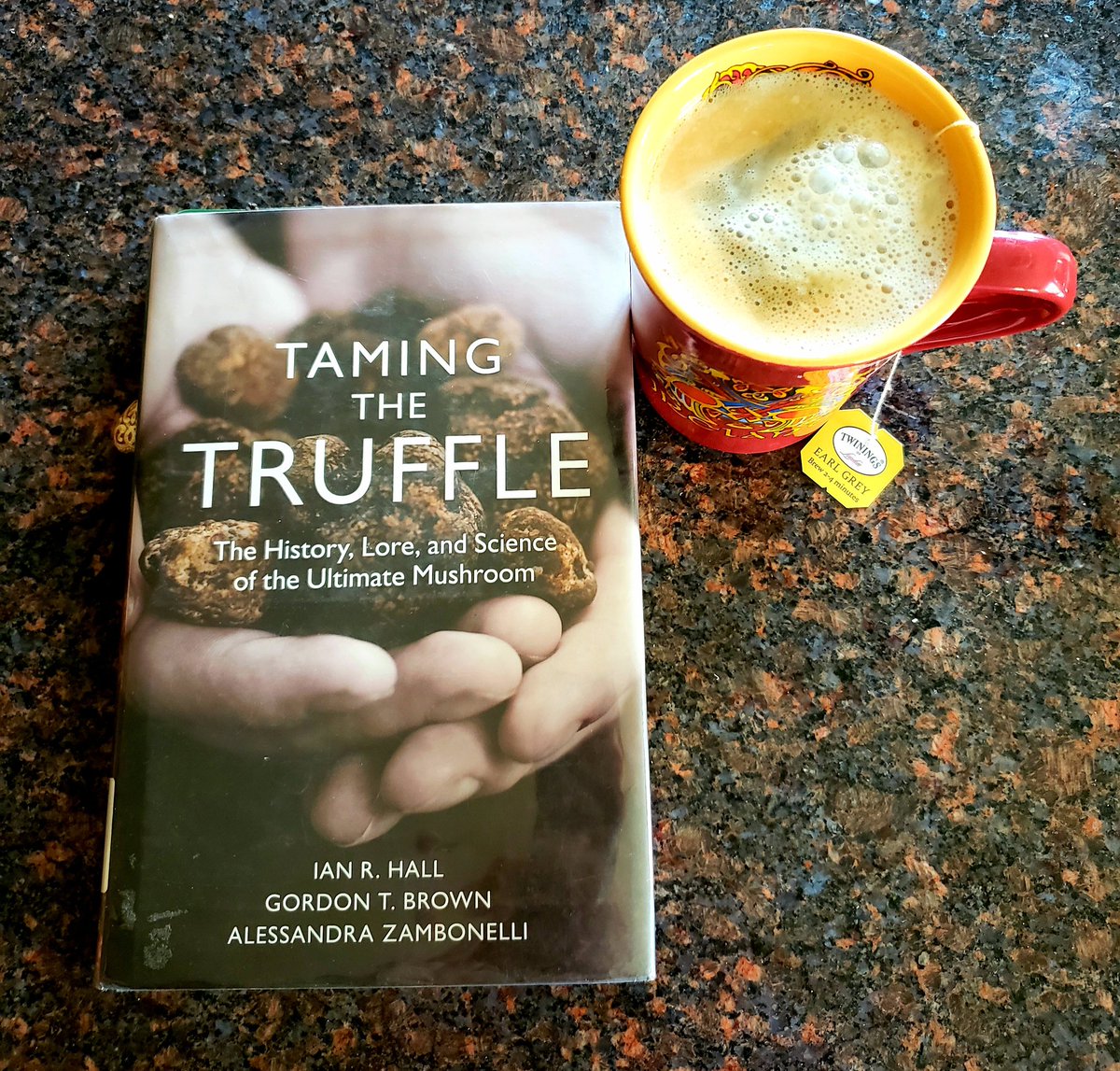 Enjoying a cup of tea and my current read for <a href="/spring_thon/">SpringAThon</a> !