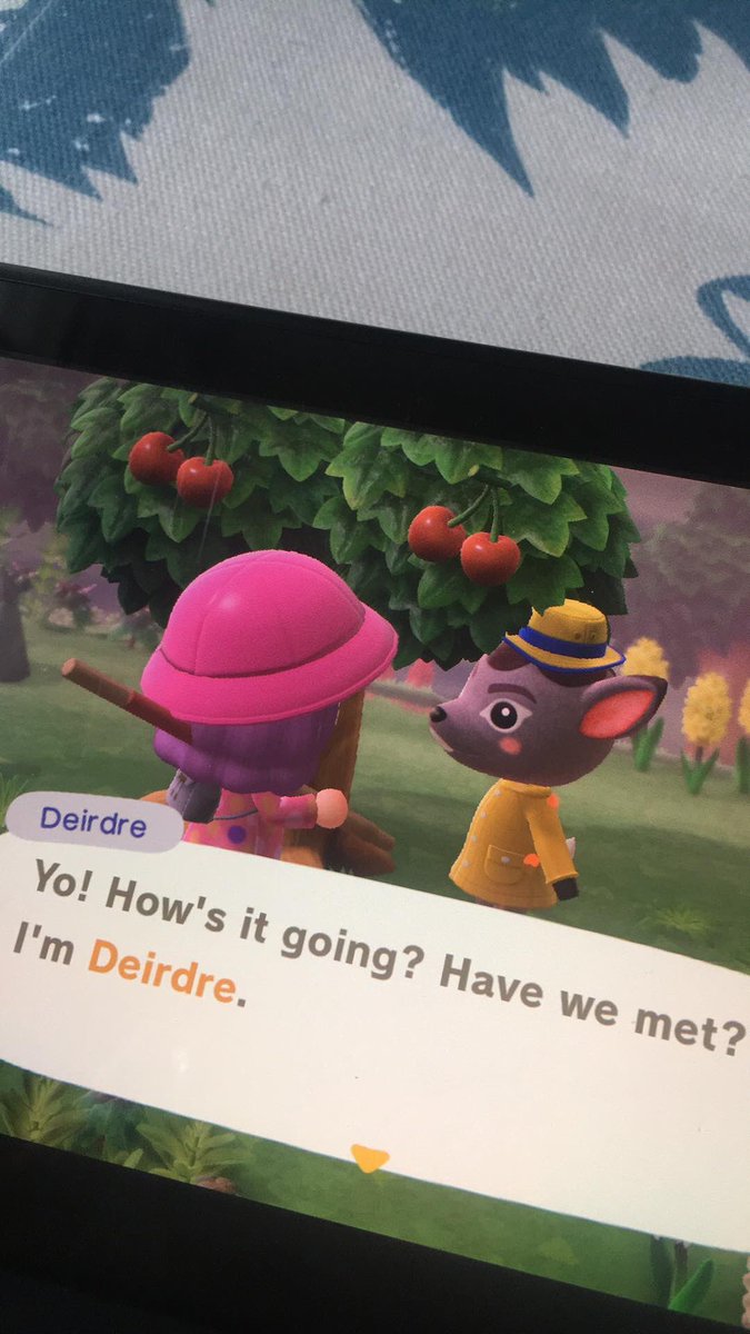 Island 10 - Deirdre! She’s okay, I have her Amiibo cards anyway though so no biggie!