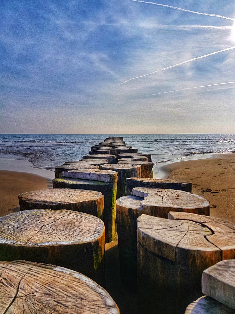 GiuliaTurchetto's tweet photo. "Nelle città senza Mare… chissà a chi si rivolge la gente per ritrovare il proprio equilibrio… forse alla Luna…" (Banana Yoshimoto)
.
(Bibione 2019)
.
#ViaggiaInsiemeAme #Spiaggia #Mare #Natura #Bibione #Italia https://t.co/x7bc8FMxV6