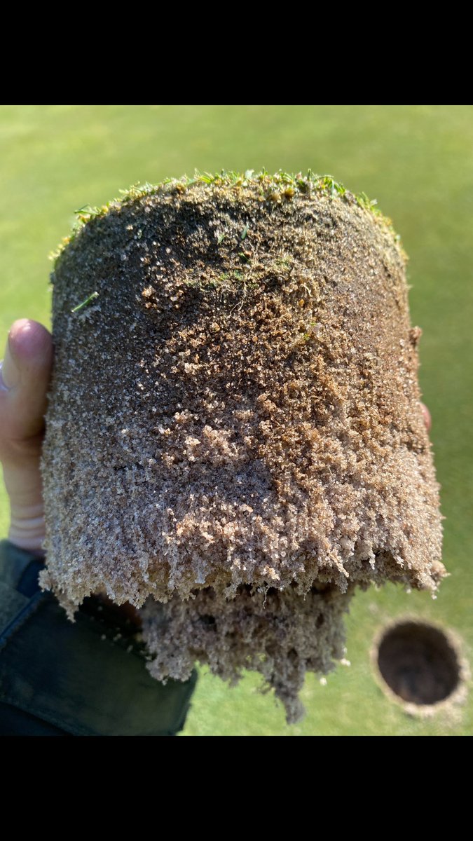 Genesis_Blaine's tweet photo. Worm Power!    That is the tweet.     @wormpowerturf @TurfTechGuy @GenesisTurf https://t.co/bP7Z0V0K03