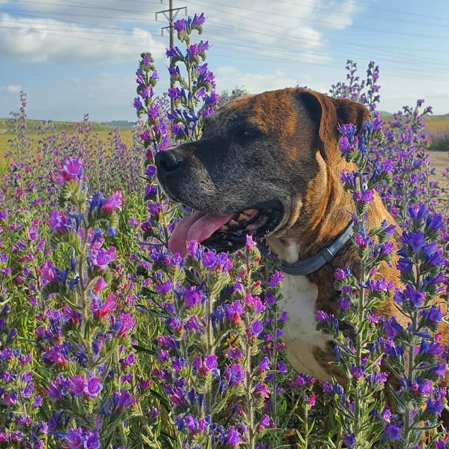 EstherMunilla's tweet photo. 🐾🐾 https://t.co/L772tXMaUI