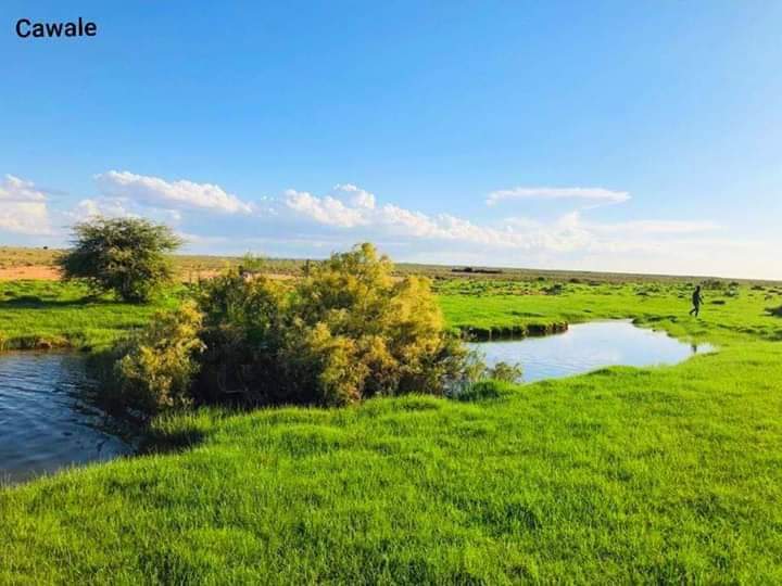 Abdiwelisulub's tweet photo. Dooxada Bixin Puntland, Soomaaliya oo barwaaqeysan, Raxmadda eebe maasheesay maasha allaah!
Sawirqaade: #Cawaale.
#Xigasho #GEYLAN https://t.co/li8QOBtYhY