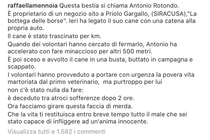 tesunepepite's tweet photo. PER FAVORE FATE GIRARE. CHE SCHIFO, GLI FAREI FARE LA STESSA FINE. https://t.co/u4N1nBi7oG