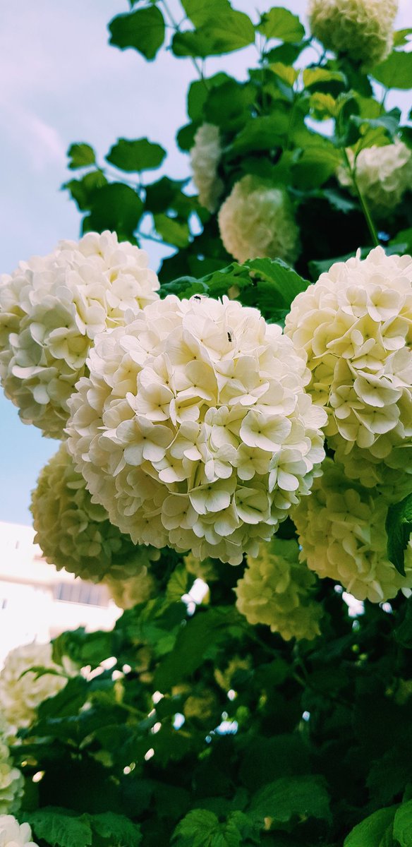 bir gün daha, bizi tekrar çağırır mı dışarda büyüyen bahar?