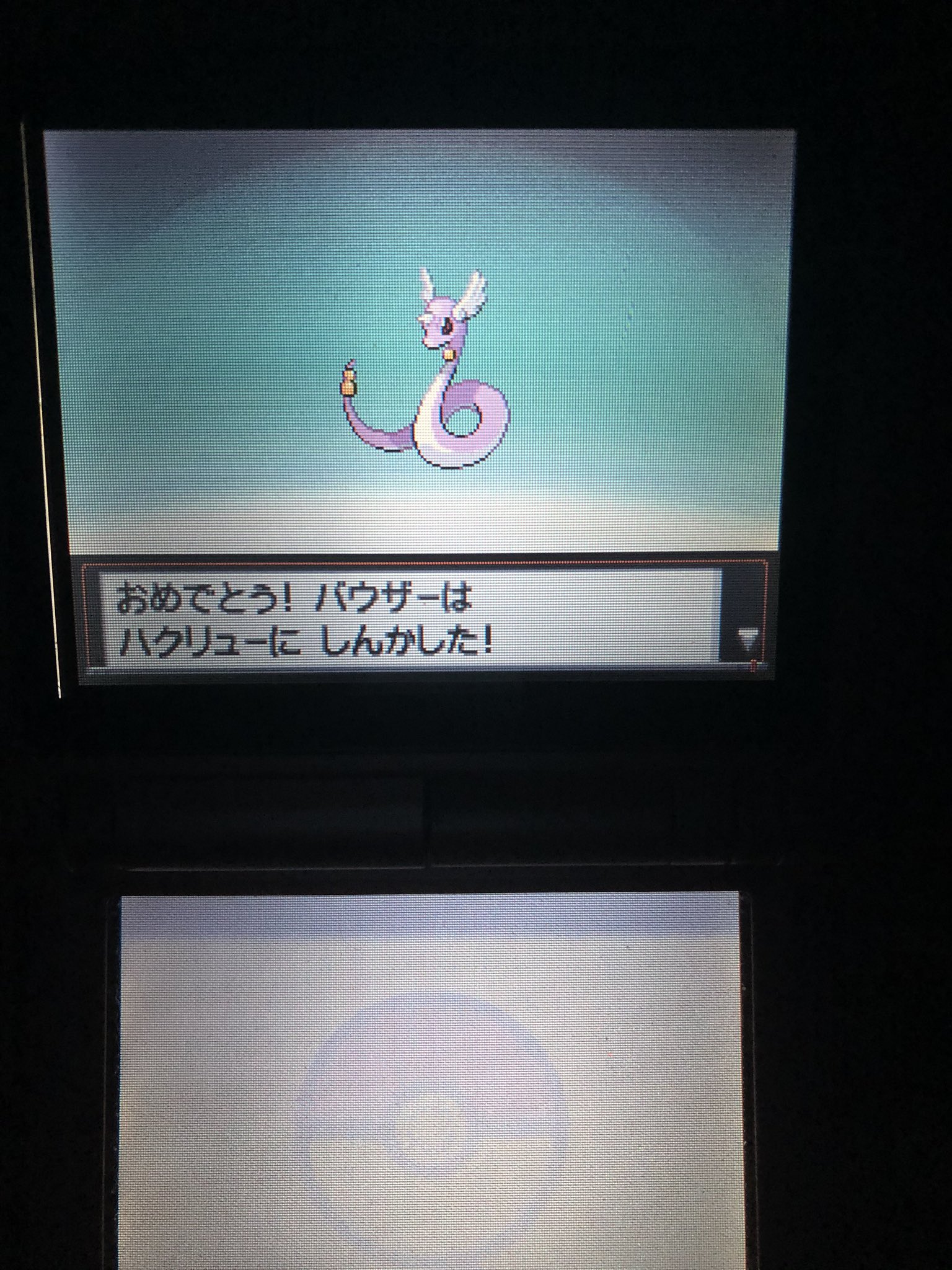 大河 8 V Twitter 愛しのミニリュウちゃんがハクリューに進化しました ポケモンhgss 色違いポケモン T Co Gti9ftqgvd Twitter