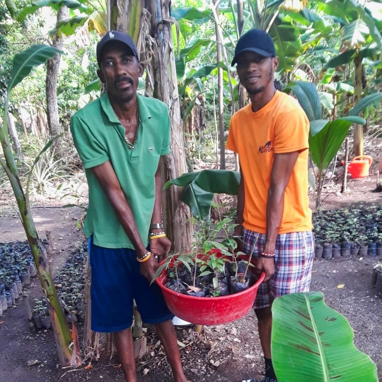 ForestNation's tweet photo. Celebrating day of trees in Haiti last weekend. People from surrounding villages took home Sed trees from our nursery. Thanks to @EdenTax for making this happen 👍
#treeprojects #haiti #trees #forests #reforestation #sustainability #planting #pledgetoplant #forestnation https://t.co/GheiVKfixH