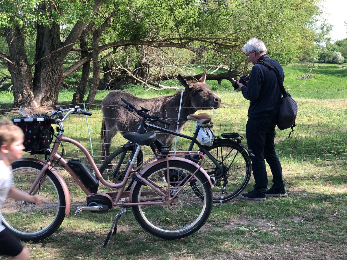 Mit <a href="/Oschington/">Wenzel Oschington</a> bei der Arbeit 😉 (@ Eselsweide) swarmapp.com/c/6NGYcCIdoM2