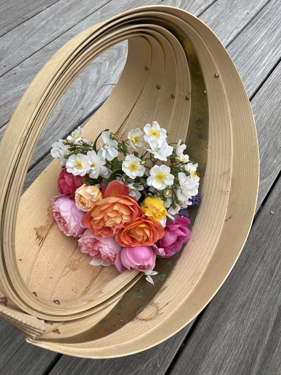 Nina Shorrock tweet media