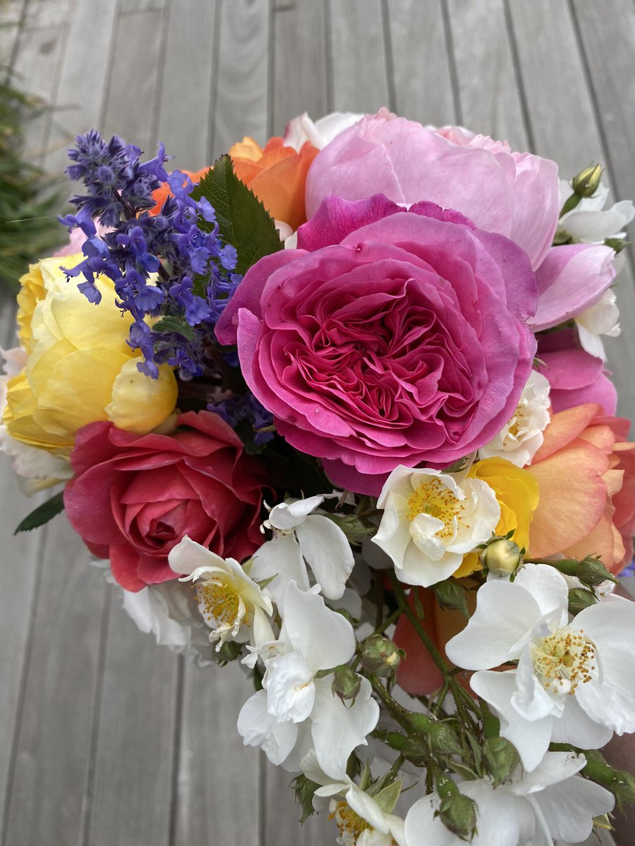 Nina Shorrock tweet media