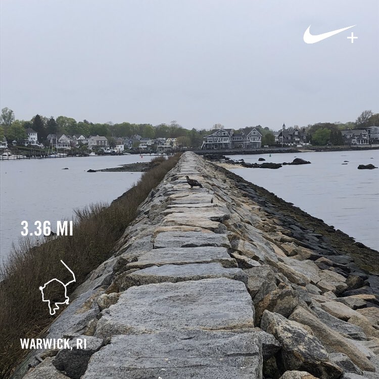 CoachFran21's tweet photo. Giant unknown bird of prey 🦅 on my jetty run ystdy. Photo doesn’t do it justice but when it flew away wingspan was HUGE....”FALCON!!” @PCFriarsLax Eighth 5k in a row for @ETCFoundation34 ystdy, number 9 on tap  for today. #PlayFastLiveSlow #GoFriars https://t.co/aKFJnIGqYt