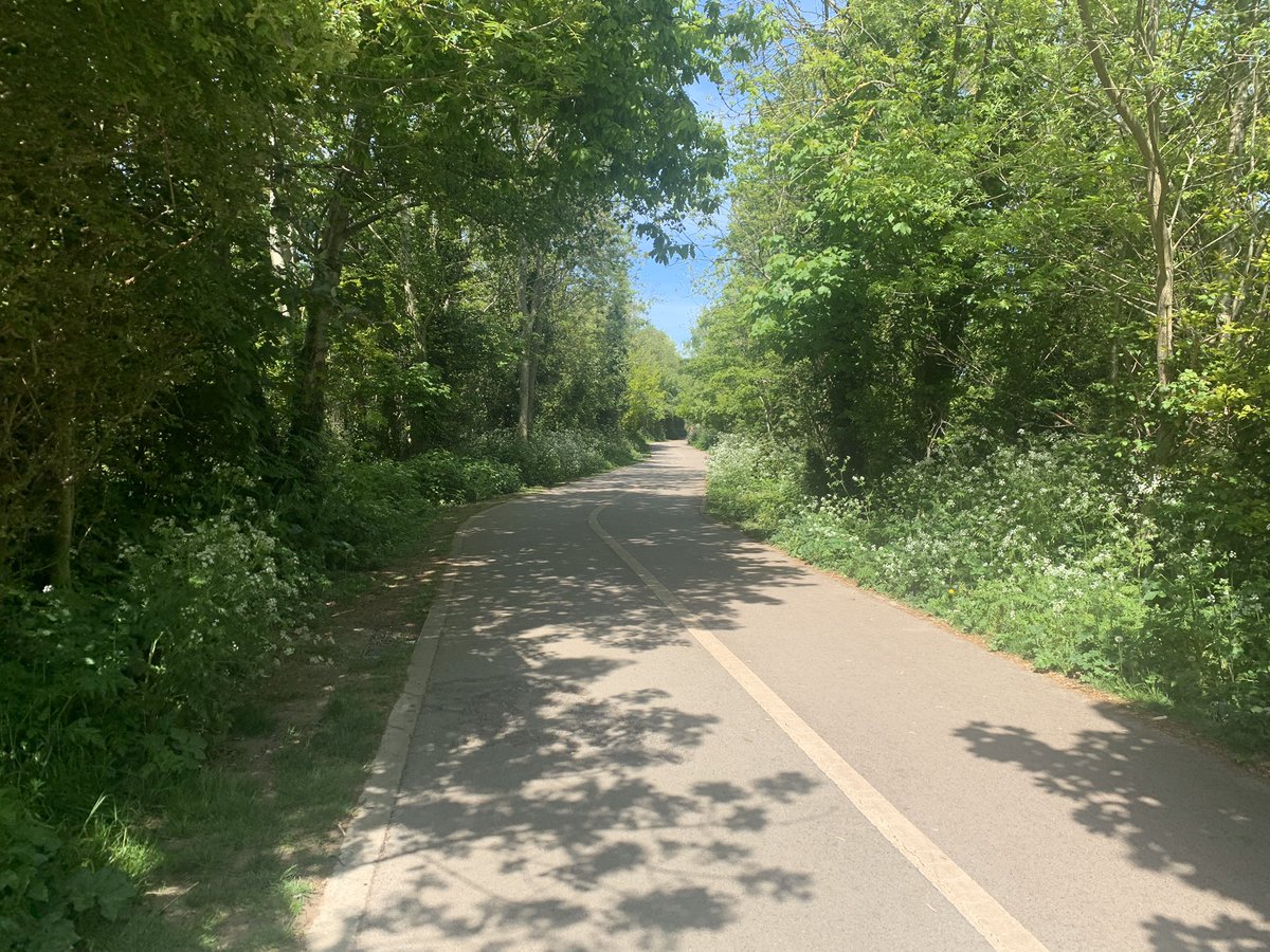 PatrickMooney's tweet photo. Getting my steps in for a cause. 6000 done - 250k is our team target! #UXDS https://t.co/B7lNVEeJHW