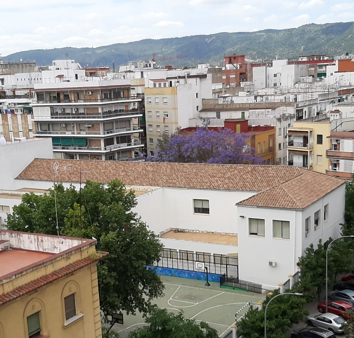 IreneCarMed's tweet photo. Me he dado cuenta de lo precioso que es el cole en el que estudié de pequeña ahora! En el confinamiento! Desde la azotea de mi casa...con perspectiva en todos los sentidos🤩 https://t.co/IpasGC5djC