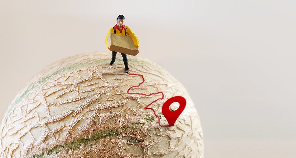 DHLexpress's tweet photo. We circle the world, no matter what scale. π π #DHLMiniature #TinyGlobe #MiniatureLife https://t.co/g1Dbt6WLEq
