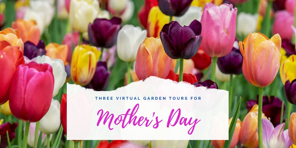 Invite your mom to join you for a virtual tour of these incredible gardens around the world.

lakeshoremag.com/mothers-day-ga…