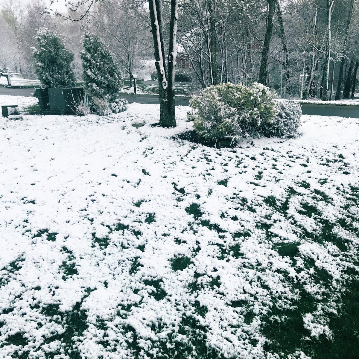 TMIPanthersAD's tweet image. Weekend Quarantine “to do list:”
❎ - Mow lawn 👍🏼
✅ - Shovel 👎🏼
#BringBackSports 
#BringBackSpring