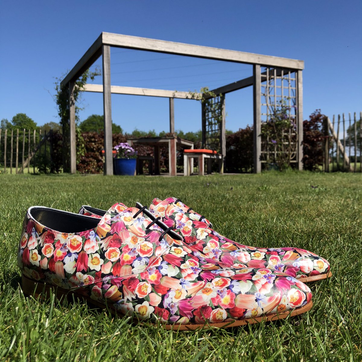 Perfect time and place for these new shoes 💐 #mascolori #newshoes #shoes #flowers #tulips #instashoes #happy #spring #springtime #tulpen #flowerfields #sunshine